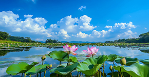 红色西柏坡-沕沕水生态2日游